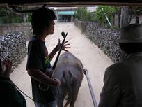 DSCN0730.JPG